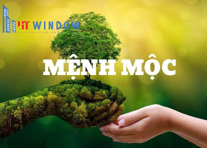 Mệnh Mộc tượng trưng cho cây cối, sự sống và sự phát triển
